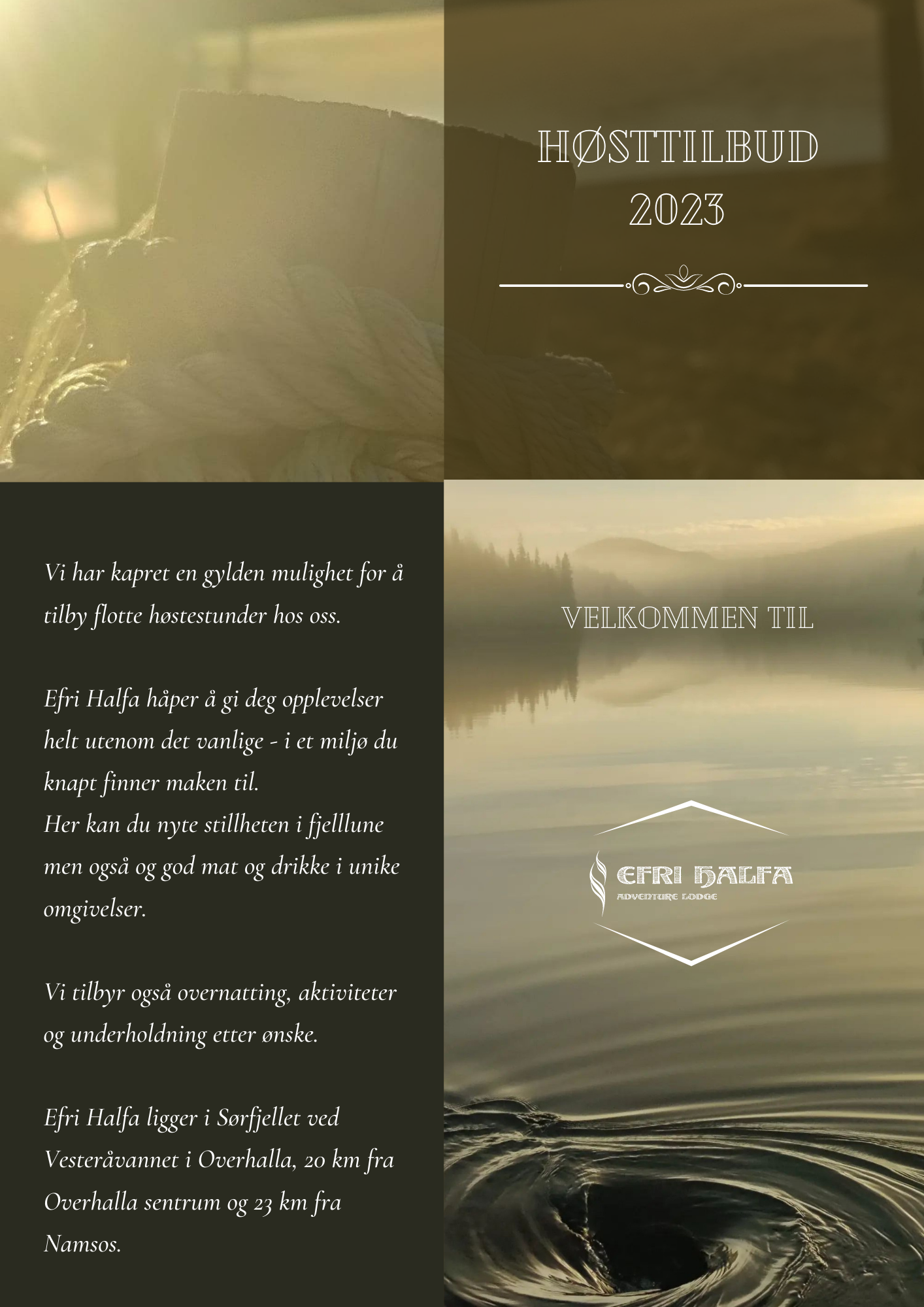 Wooden rope swing for kids - Goodevas | 4.5+ Rated by Parents, image size:1414x2000